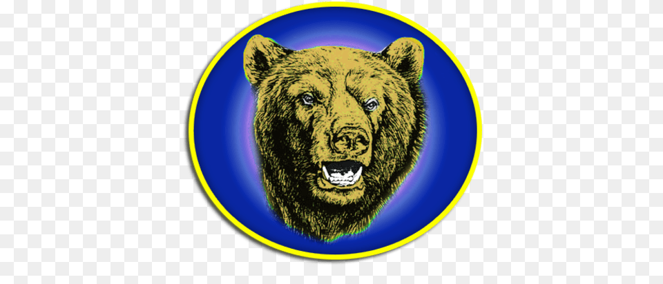 Bear Head, Animal, Mammal, Wildlife, Brown Bear Free Transparent Png