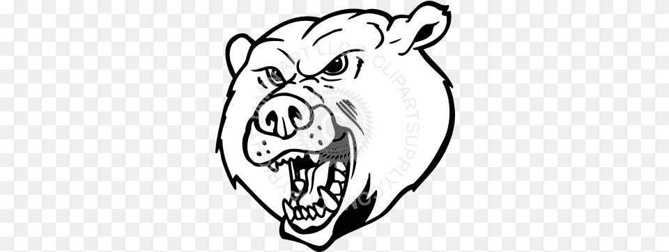 Bear Head With Open Mouth Bear With Mouth Open Drawing, Body Part, Person, Teeth Free Transparent Png