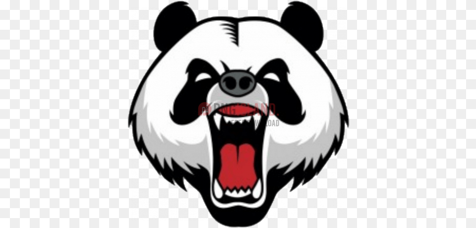Bear Image With Transparent Background Photo 318 Angry Panda, Body Part, Mouth, Person Free Png Download