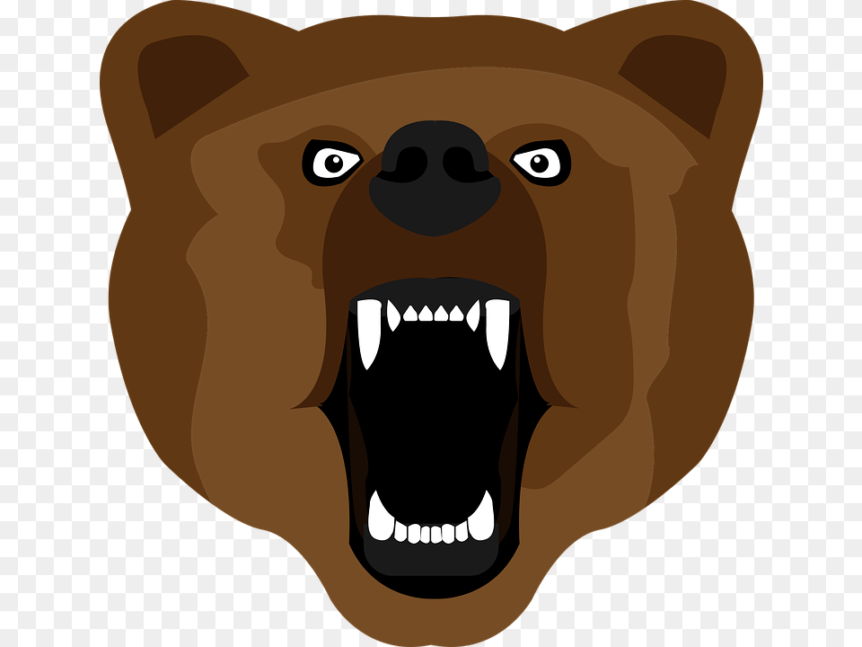 Bear Images Cartoon Desktop Backgrounds, Baby, Person, Animal, Mammal Png Image