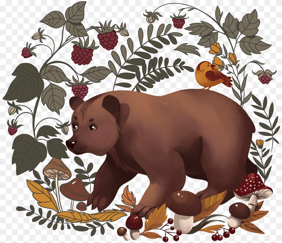 Bear In The Forest Clipart, Animal, Mammal, Pig, Wildlife Free Png