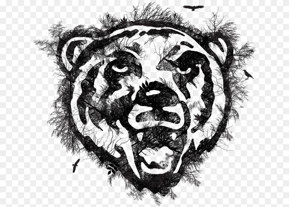 Bear Ks V2 Art Print Pop Ink Csa Images39 Growling Bear, Outdoors, Nature, Face, Head Png Image