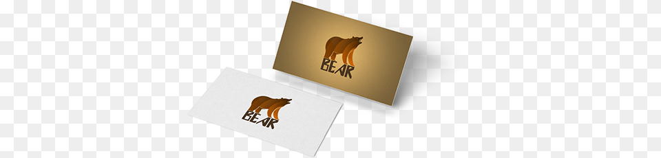 Bear Logo Boar, Paper, Text Free Transparent Png