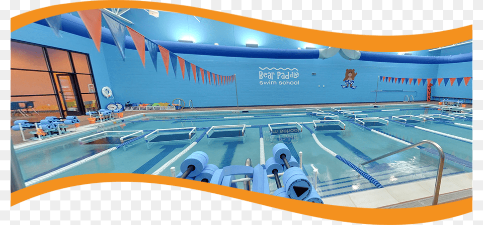 Bear Paddle Swim School Is A Month To Month Year Round Leisure Centre, Pool, Swimming Pool, Water, Leisure Activities Png Image