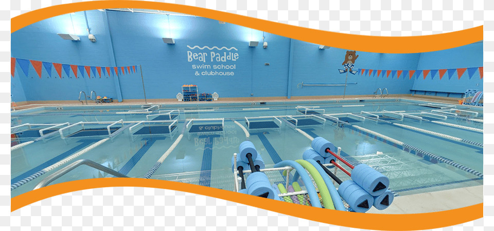 Bear Paddle Swim School Is A Month To Month Year Round Leisure Centre, Leisure Activities, Person, Pool, Sport Png