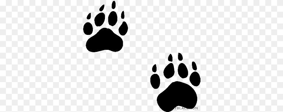 Bear Paw Print Animal Black White Clipart Images, Blackboard, Silhouette Free Transparent Png