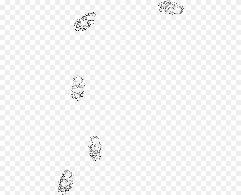 Bear Prints, Gray Free Png