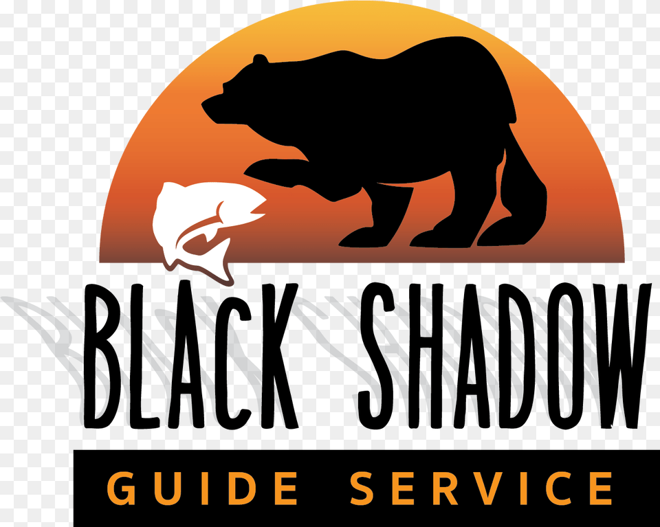 Bear Shadow Download Clipart With Kodiak Bear, Animal, Mammal, Wildlife, Advertisement Free Transparent Png