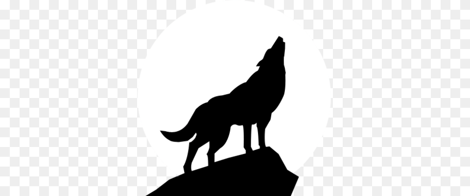 Bear Sillouette Pages Wolf Silhouette Image, Animal, Coyote, Mammal, Kangaroo Free Png Download