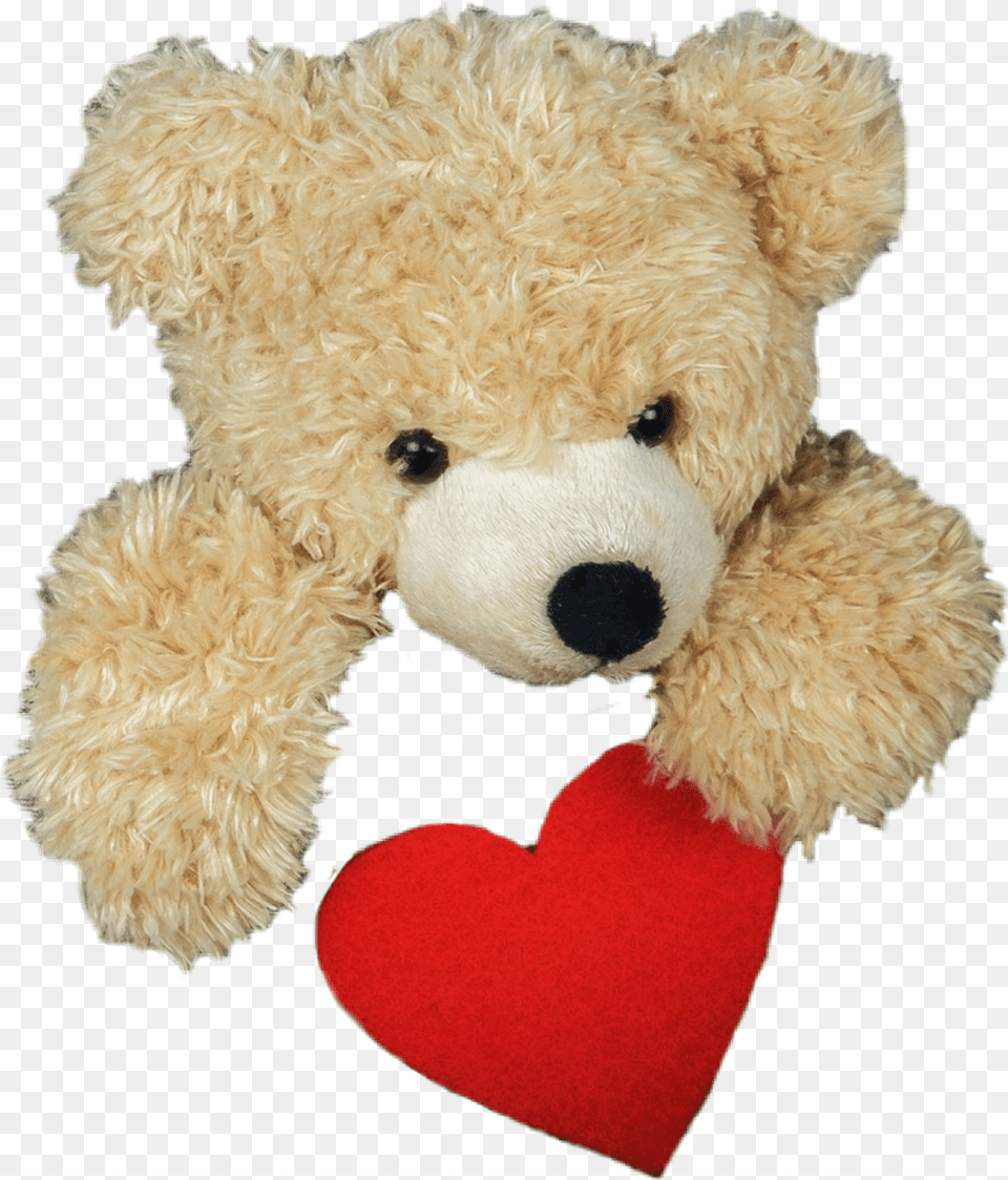 Bear Sticker, Teddy Bear, Toy Png