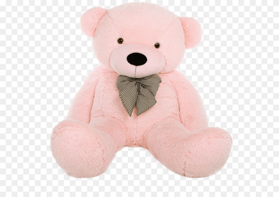 Bear Teddy Toy Teddy Bear, Teddy Bear, Plush Free Png Download
