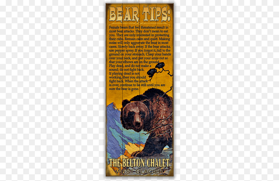 Bear Tips Bear Tips Sign, Animal, Mammal, Publication, Wildlife Free Png Download