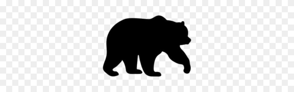 Bear Transparent, Animal, Mammal, Wildlife, Black Bear Free Png