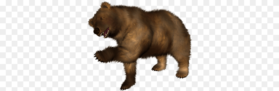 Bear Background Clipart, Animal, Mammal, Wildlife, Brown Bear Free Transparent Png