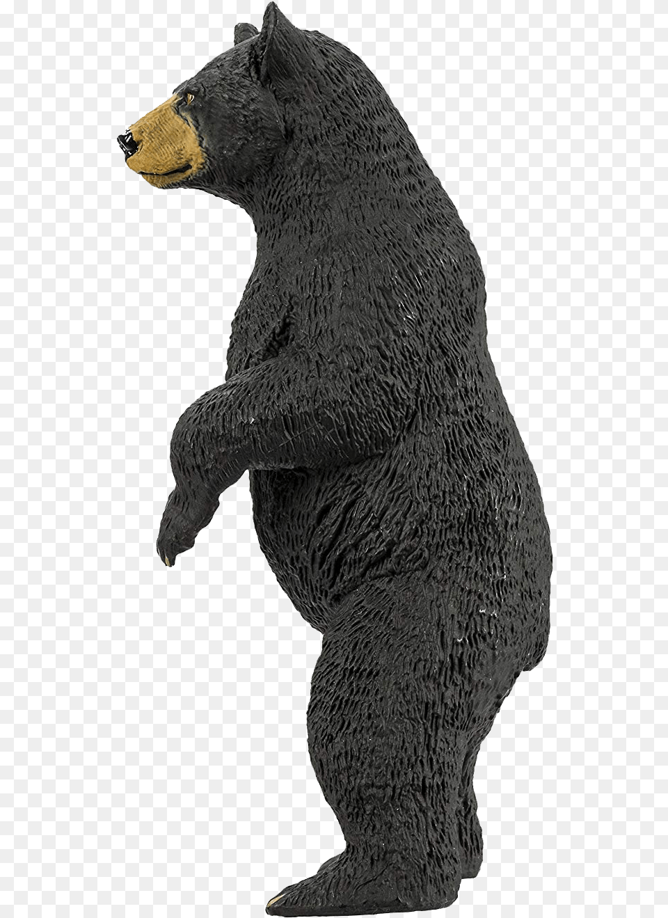 Bear Transparent Free Download American Black Bear, Animal, Mammal, Wildlife, Black Bear Png Image