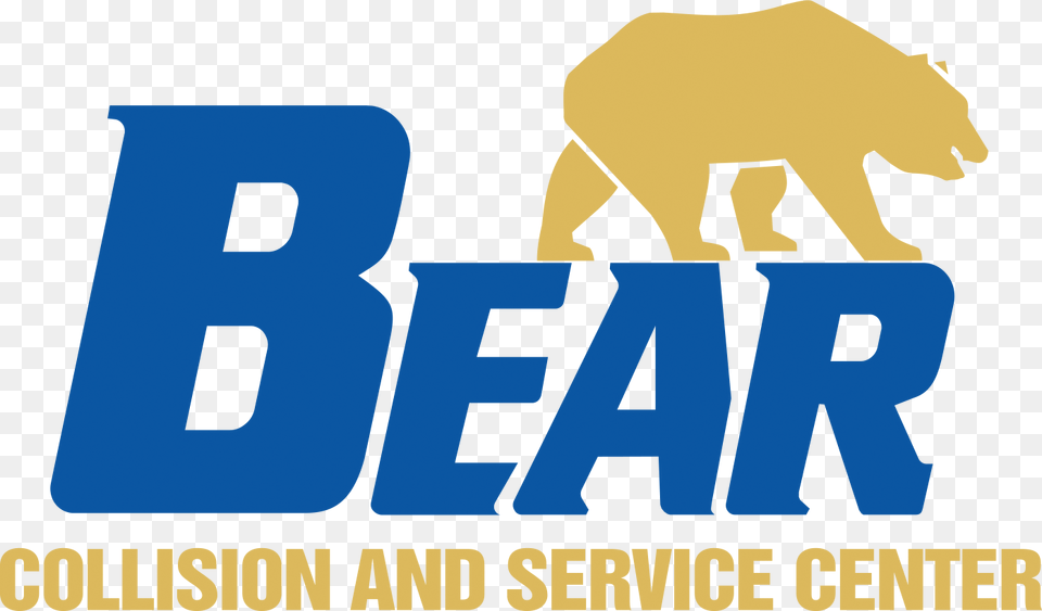 Bear Truck Painting And Collision Repair In Hayward Ca, Animal, Wildlife, Adult, Male Free Transparent Png