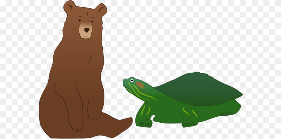 Bear Turtle Bear, Animal, Mammal, Wildlife, Fish Free Png Download