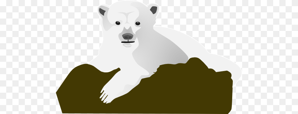 Bear Vector, Animal, Mammal, Wildlife, Polar Bear Free Png Download