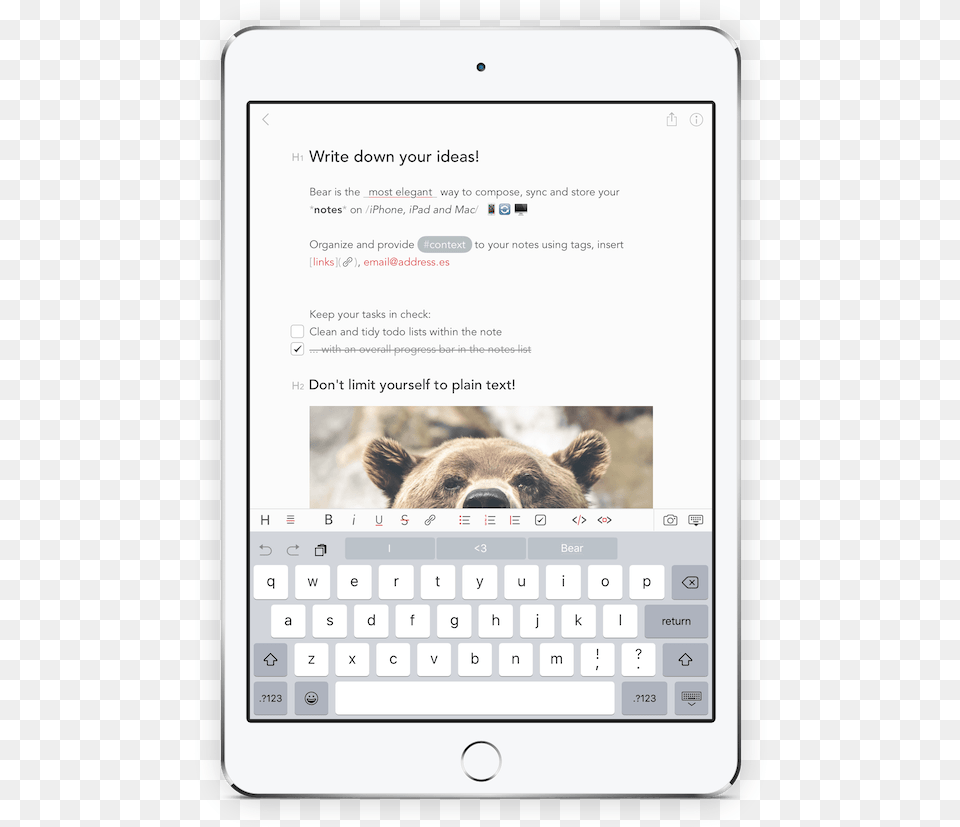 Bear Write Beautifully On Iphone Ipad And Mac Smartphone, Animal, Mammal, Wildlife, Computer Free Transparent Png