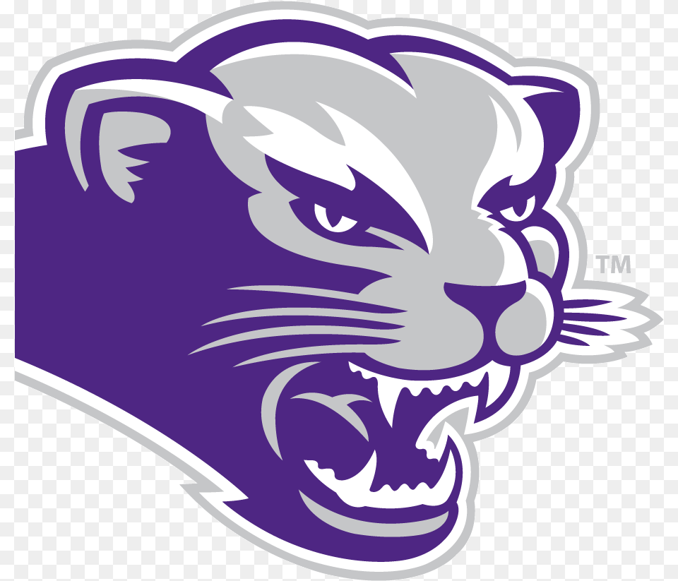 Bearcat Mascot S Bearcat Southwest Baptist University Logo, Sticker, Baby, Person Free Png Download