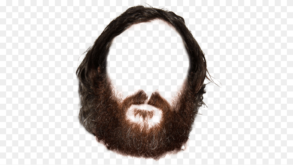 Beard, Adult, Face, Head, Male Free Png