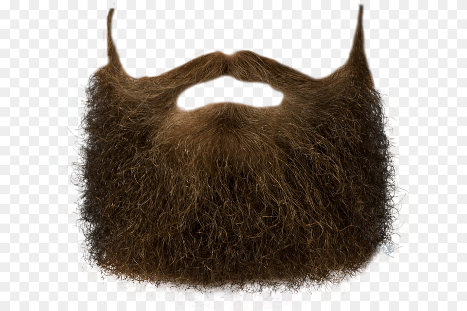 Beard, Face, Head, Person, Animal Free Png