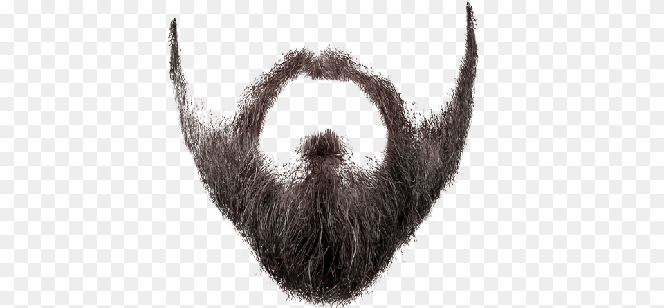 Beard, Face, Head, Person, Mustache Free Png Download