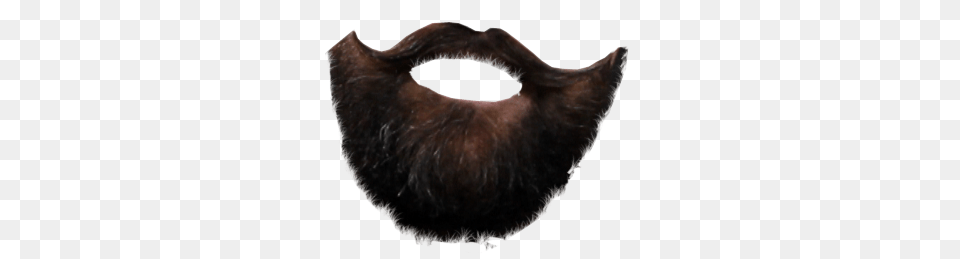 Beard, Face, Head, Person, Mustache Png Image