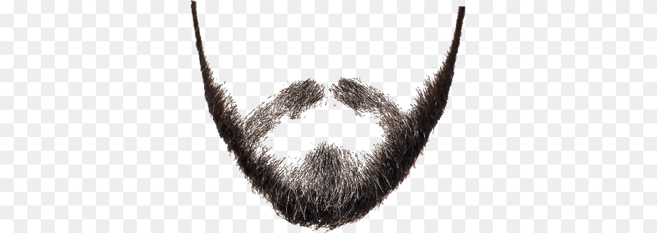 Beard, Face, Head, Mustache, Person Png