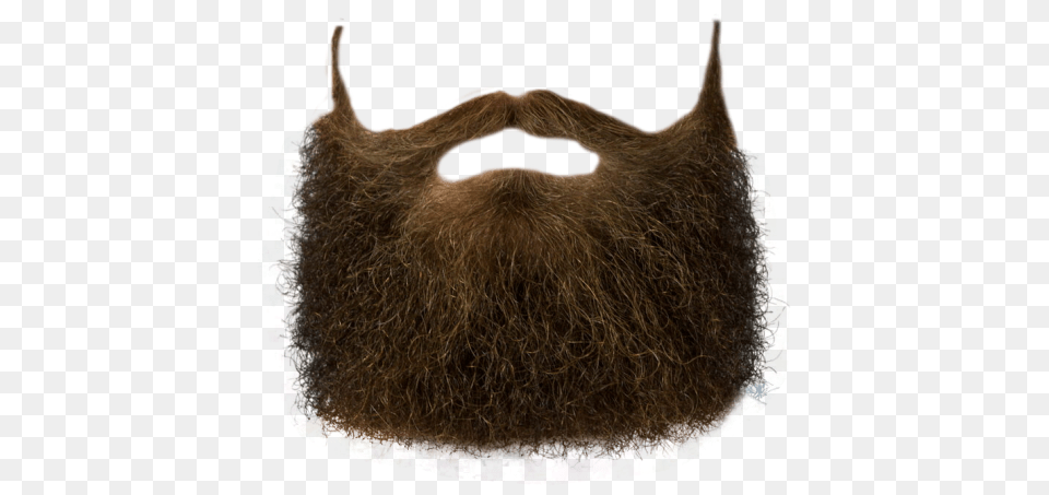 Beard, Face, Head, Person, Animal Free Transparent Png