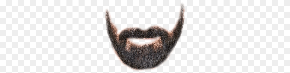 Beard, Face, Head, Person, Mustache Png Image