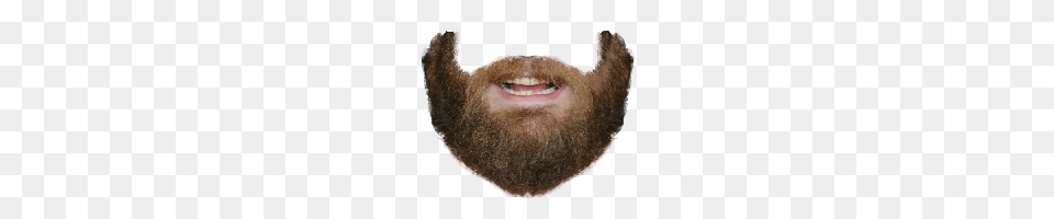 Beard, Face, Head, Person, Animal Png Image