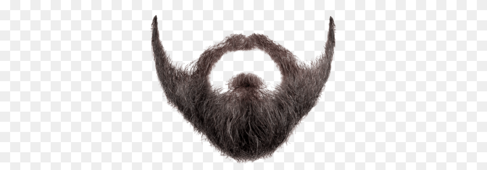 Beard, Face, Head, Person, Mustache Free Transparent Png