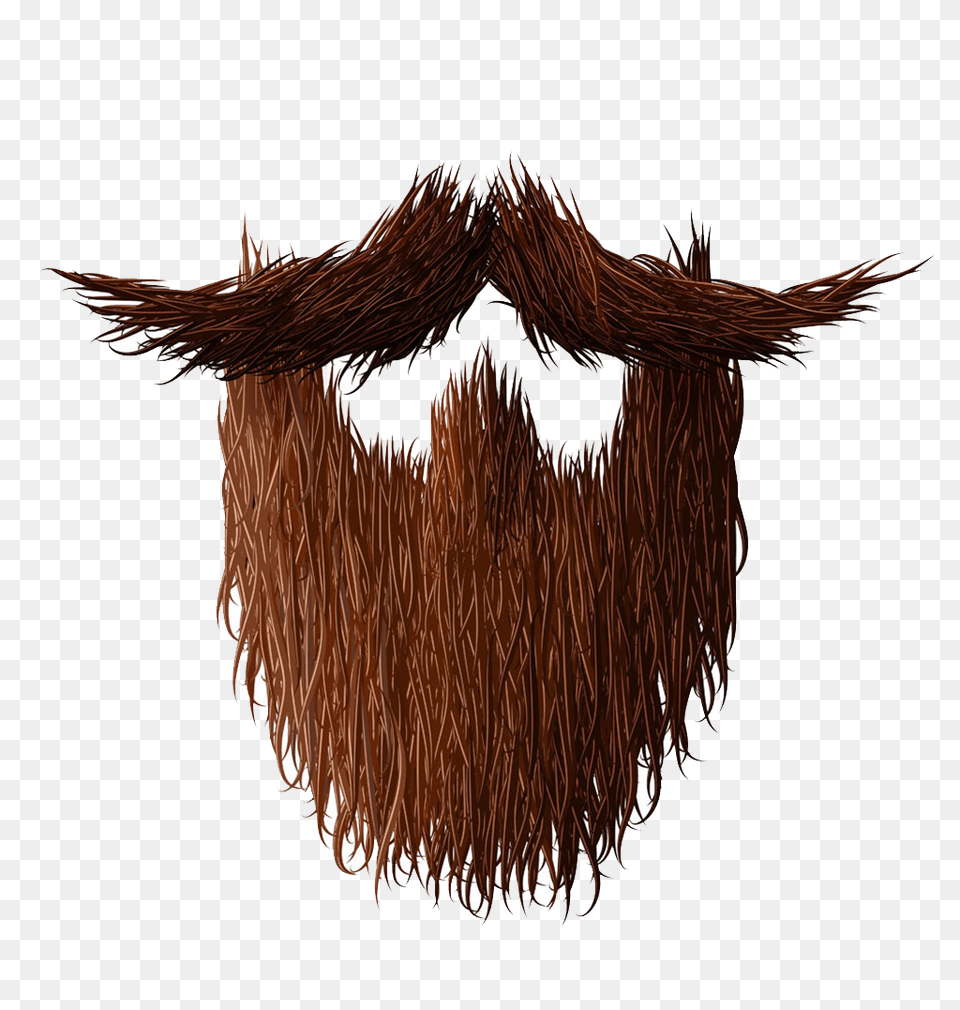 Beard, Face, Head, Person, Mustache Free Png