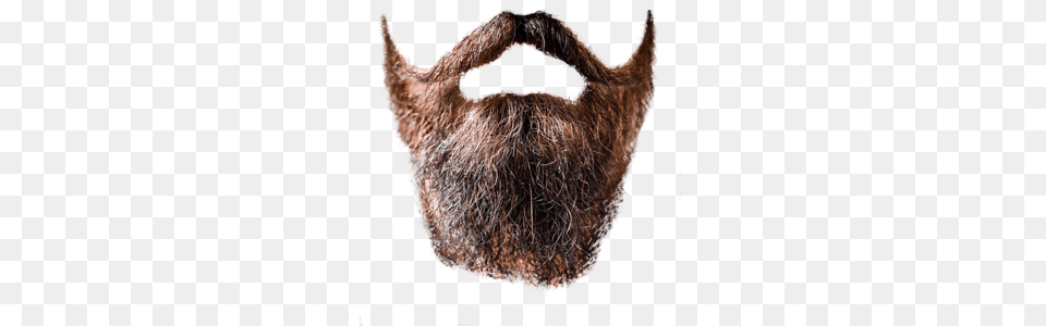 Beard, Face, Head, Person, Adult Png Image