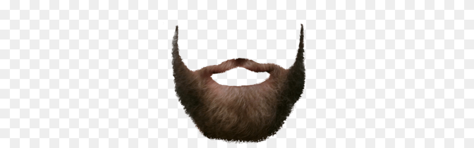 Beard, Face, Head, Person, Mustache Free Png Download