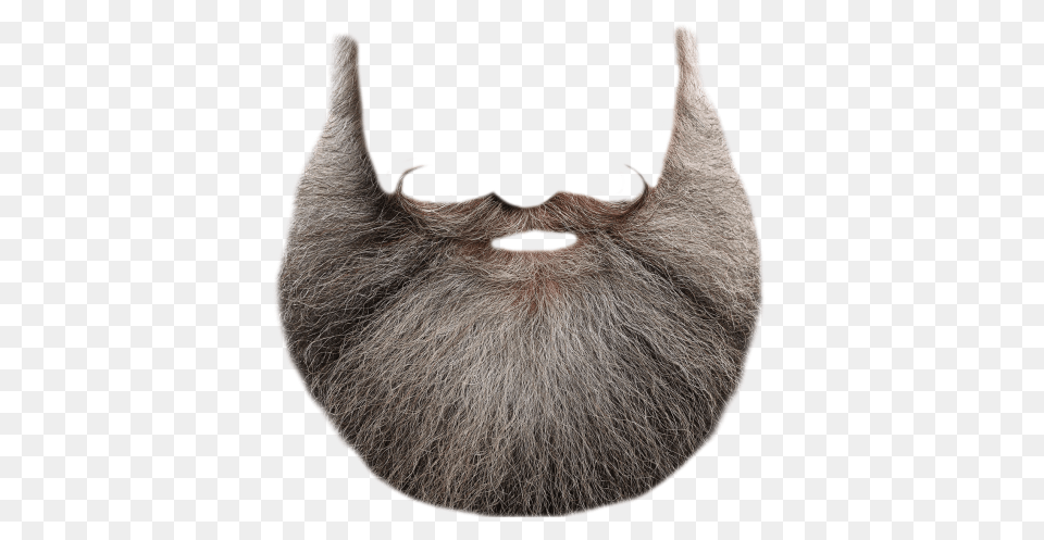 Beard, Face, Head, Person, Animal Free Png