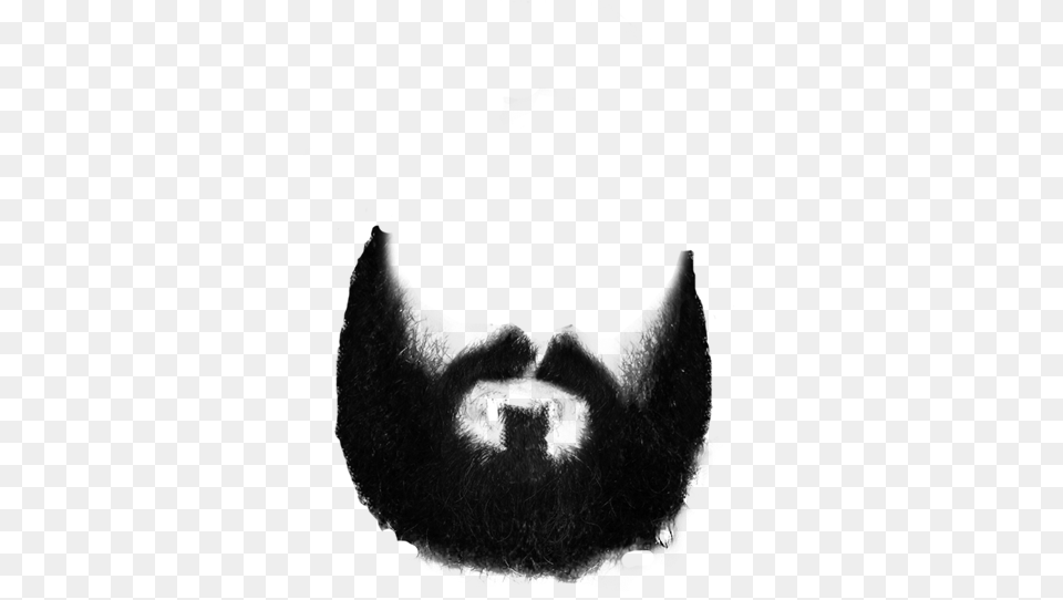 Beard, Face, Head, Person, Adult Free Png