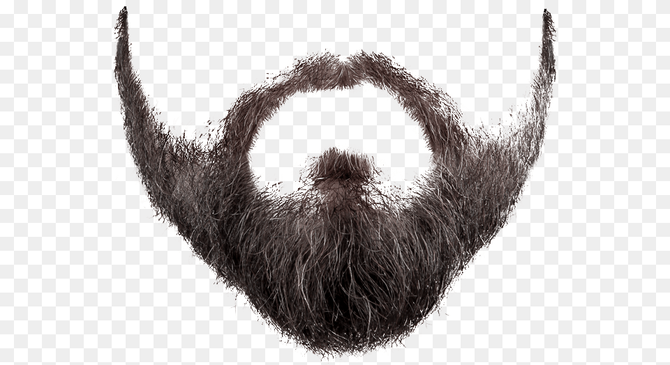 Beard, Face, Head, Person, Mustache Png