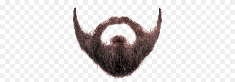 Beard, Face, Head, Person, Mustache Free Png