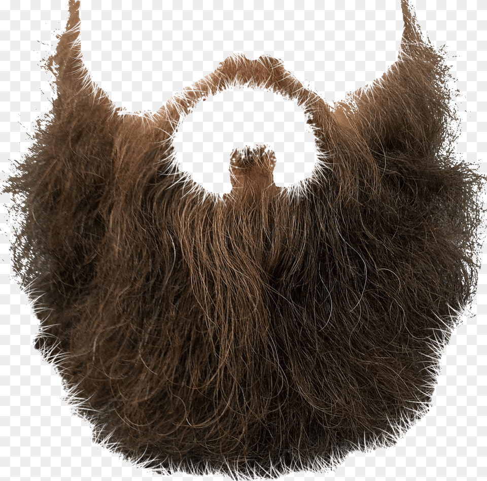 Beard, Face, Head, Person, Animal Png Image
