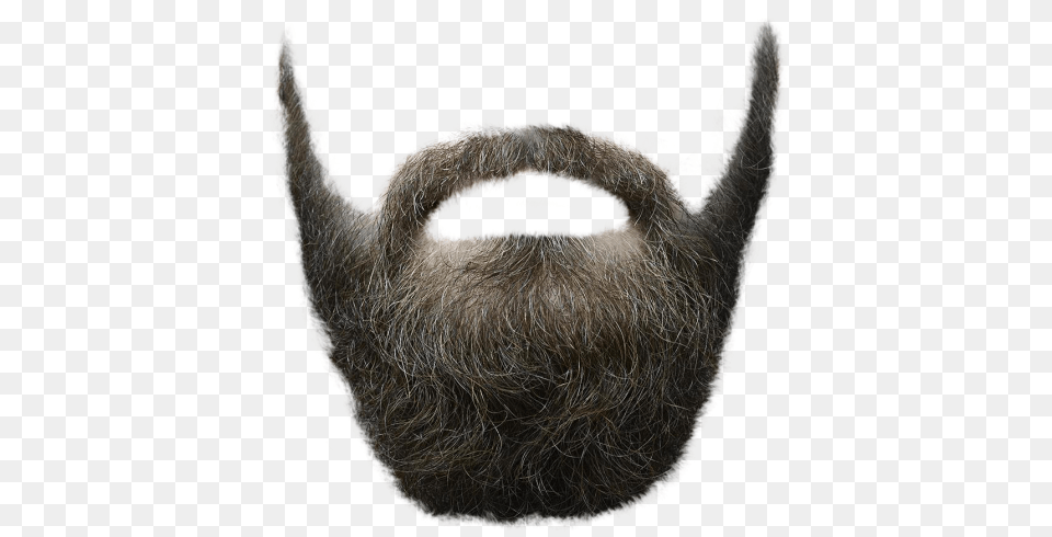 Beard, Face, Head, Person, Animal Free Png Download