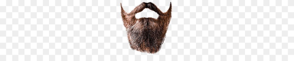 Beard, Face, Head, Person Free Png