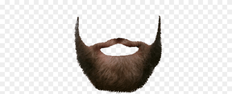 Beard, Face, Head, Person, Mustache Png Image