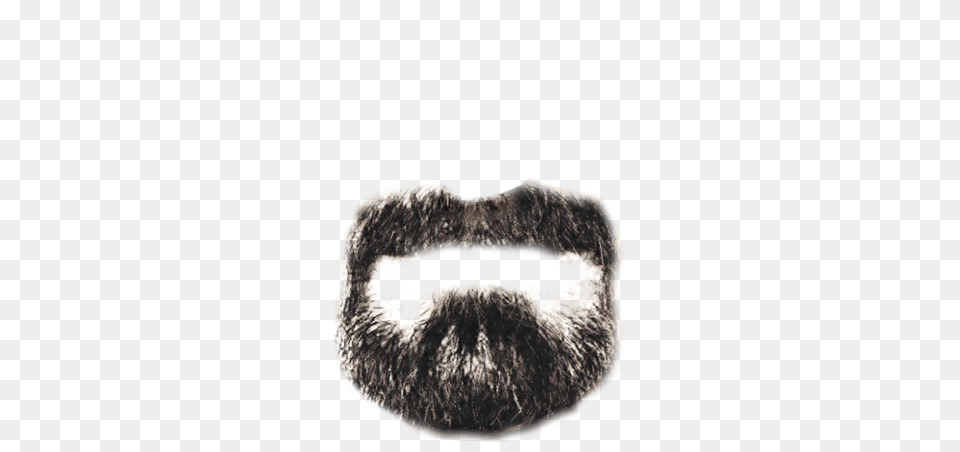 Beard, Face, Head, Person, Mustache Png