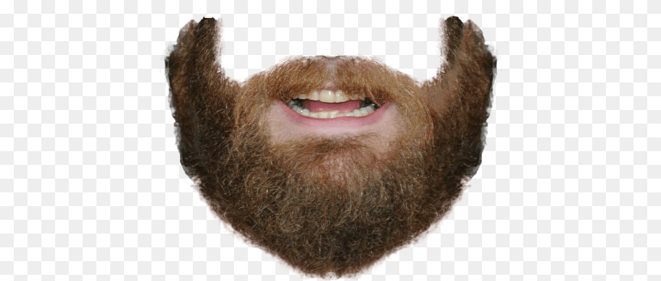 Beard And Mouth, Face, Head, Person, Adult Free Png Download
