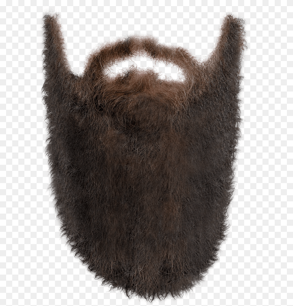 Beard Background Beard, Face, Head, Person, Animal Free Transparent Png