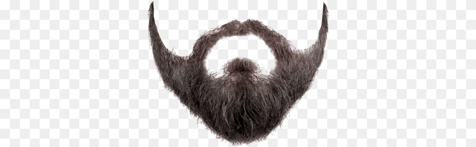 Beard Background In 2020 Beard With No Background, Face, Head, Person, Mustache Free Png Download