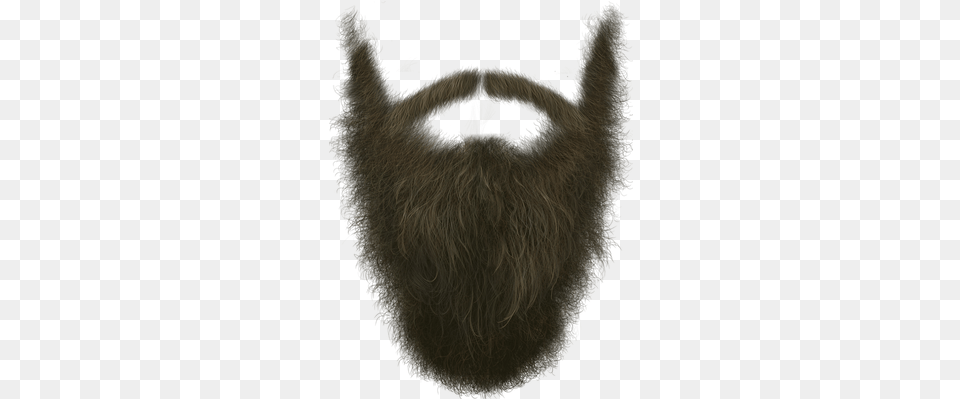 Beard Booth By Dollar Beard Club Messages Sticker 0 Beard Booth Dollar Beard Club, Face, Head, Person Png Image