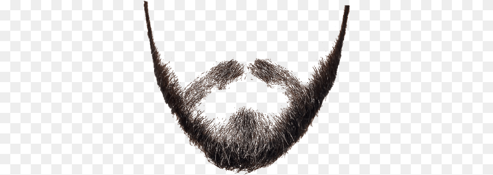 Beard Clear Background Beard, Face, Head, Mustache, Person Free Png Download